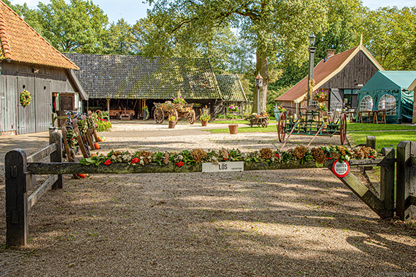 16534_samenspel_600