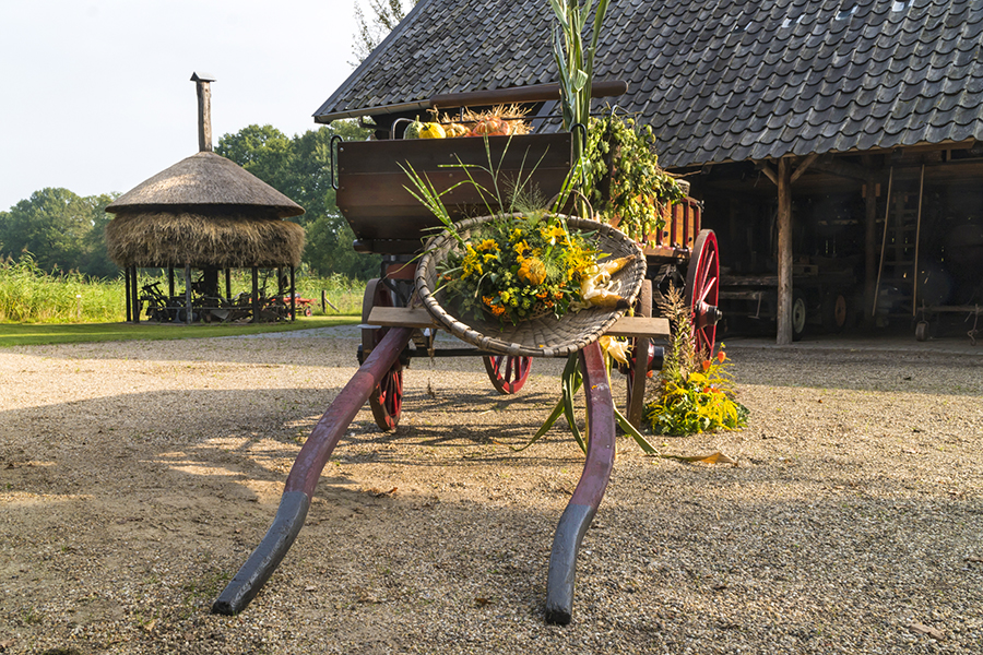 12623_kokhok_900x600_72